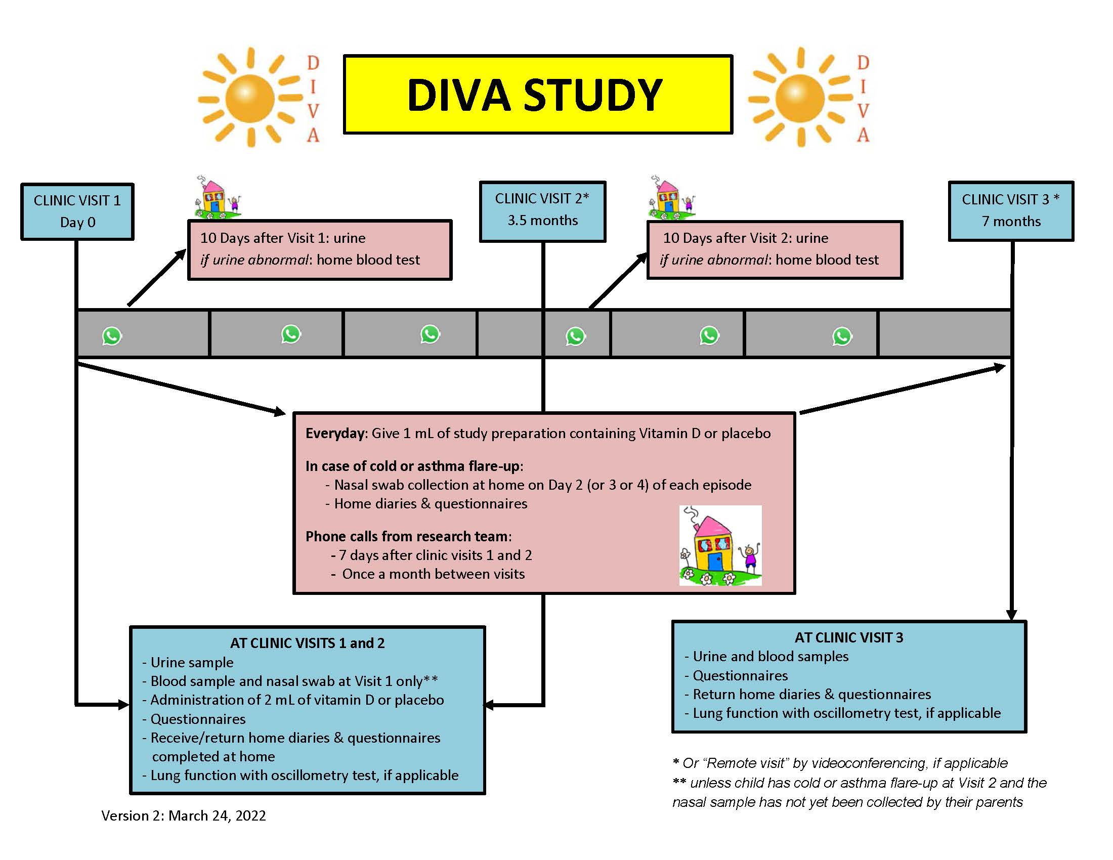 Flowchart of DIVA Study