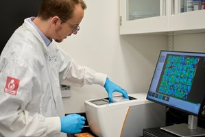 Flamier puts cortical plaque in Maestro Pro for analysis. Credits: CHU Sainte-Justine (Véronique Lavoie)