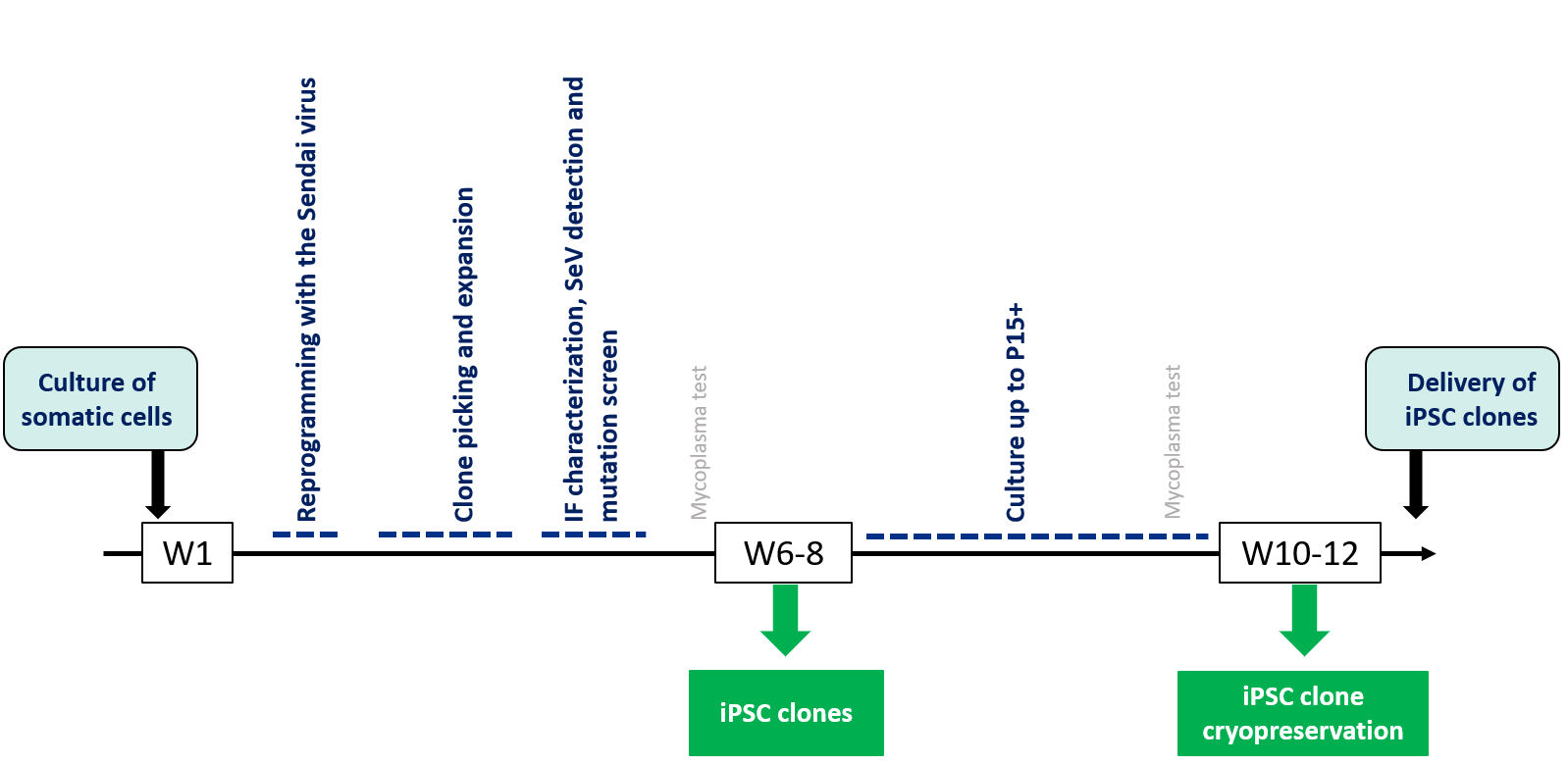 Preview of Induced pluripotent stem cells (iPSC) Platform Preview of Induced pluripotent stem cells (iPSC) Platform