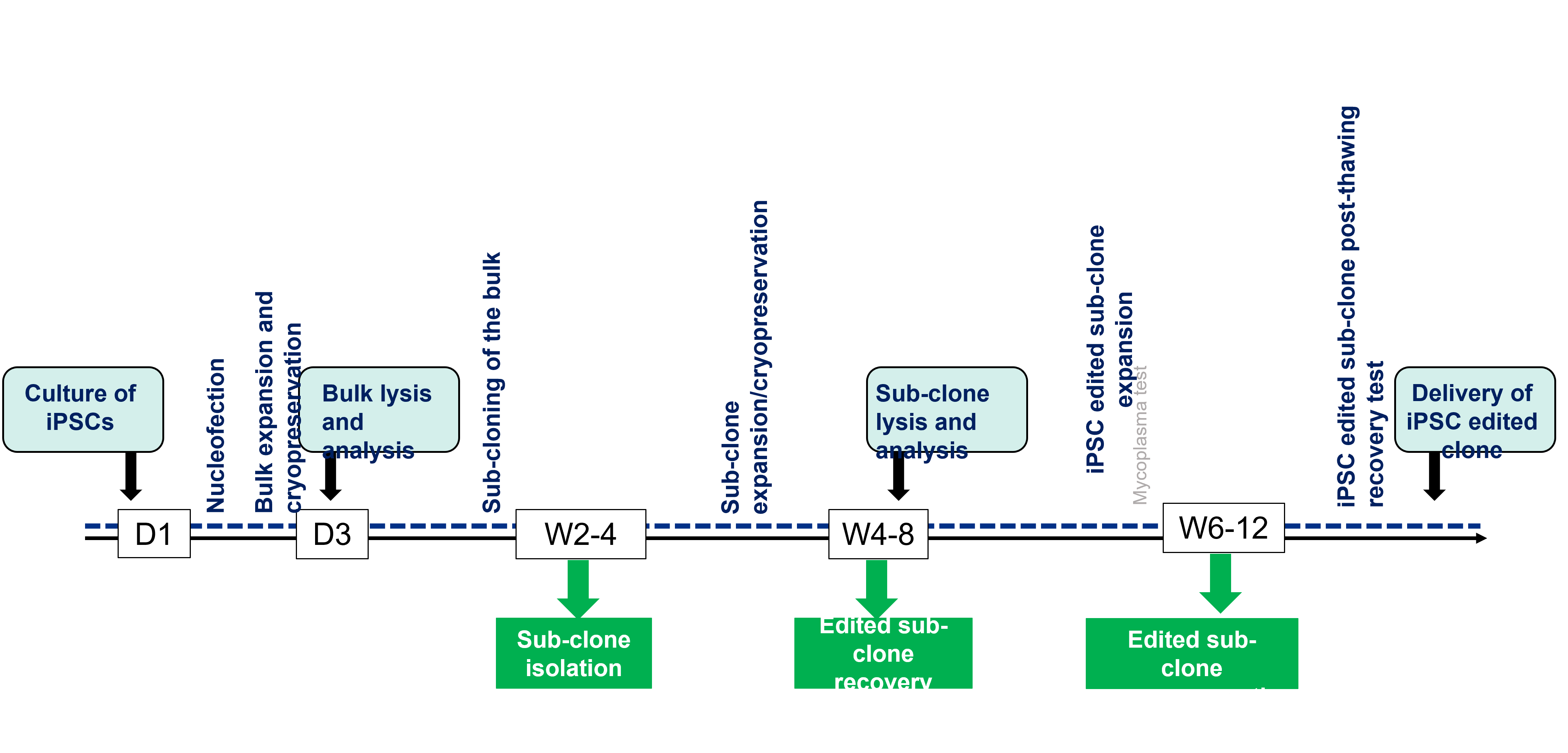 Preview of iPSC gene editing