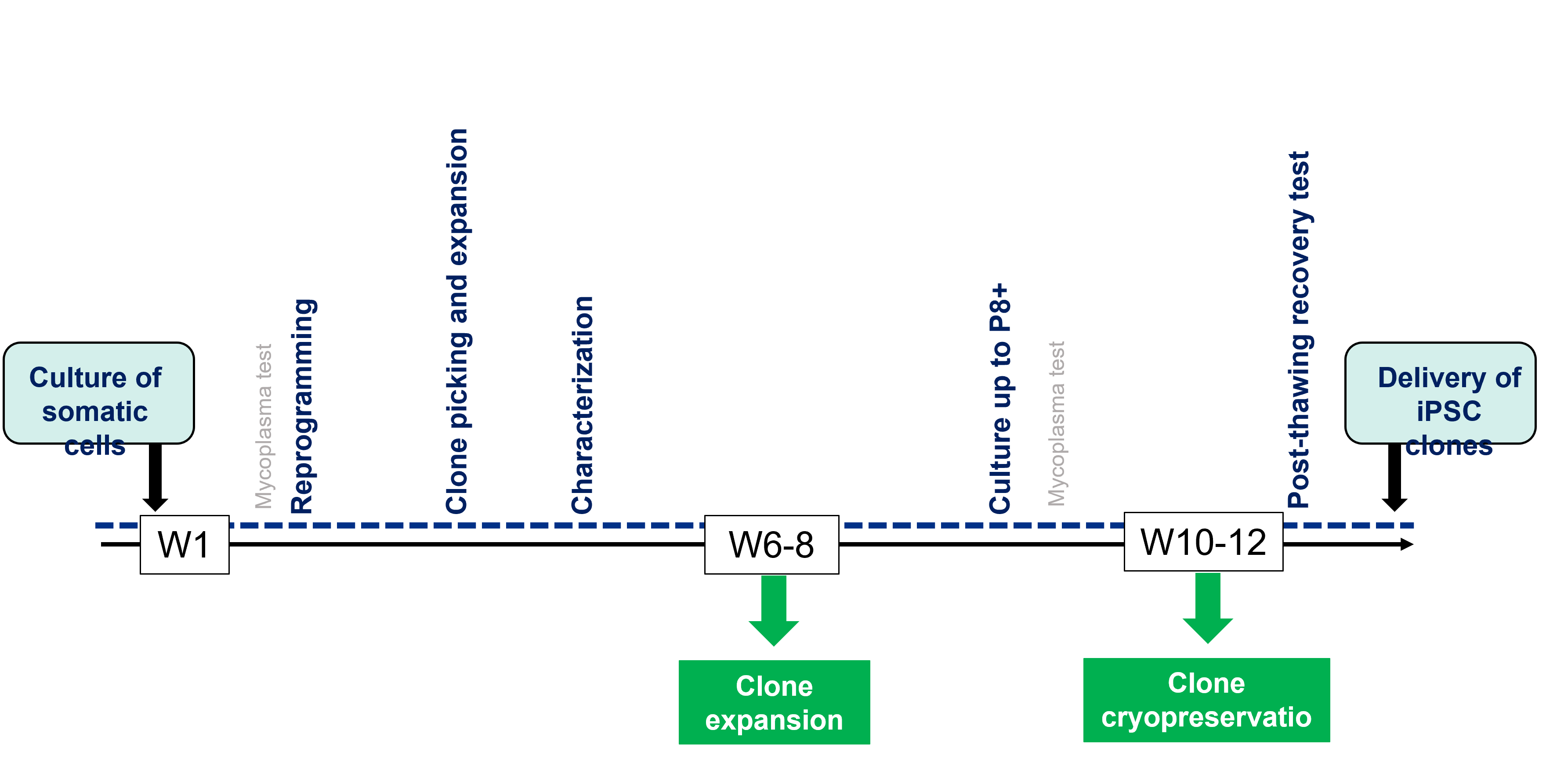 Preview of cell reprogramming